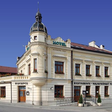 Hotel Jelinkova Vila Velké Meziříčí Dış mekan fotoğraf