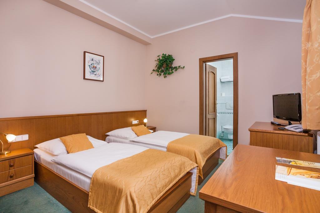 Hotel Jelinkova Vila Velké Meziříčí Oda fotoğraf